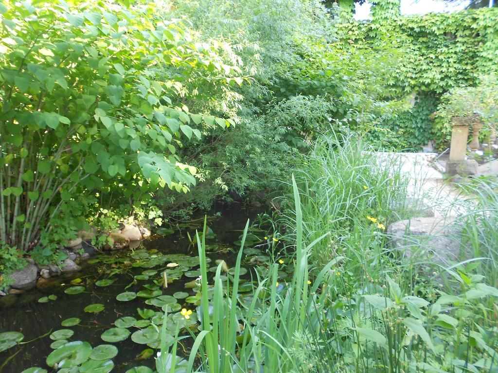 Apart'Hotel Les 4 Sources Corbés Exterior foto